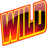 Wild Substitutions image