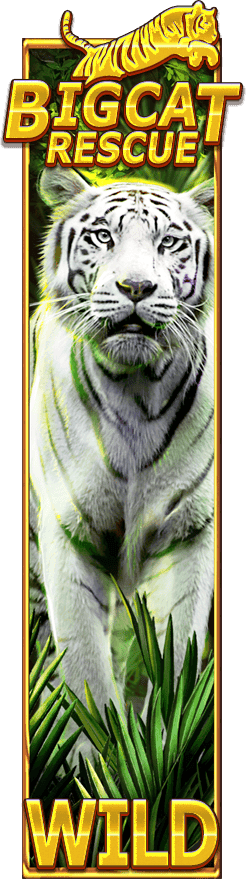 Big Cat Rescue Wilds image