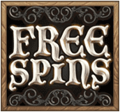 Free Spins image