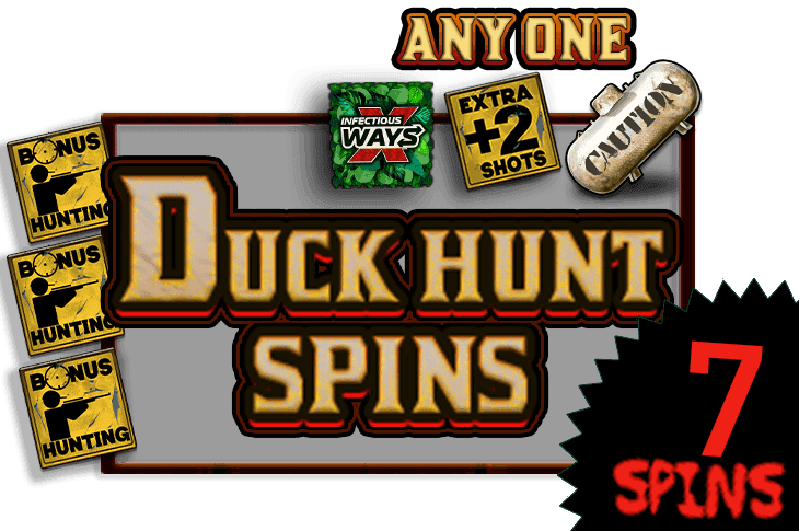 Duck Hunt Spins image