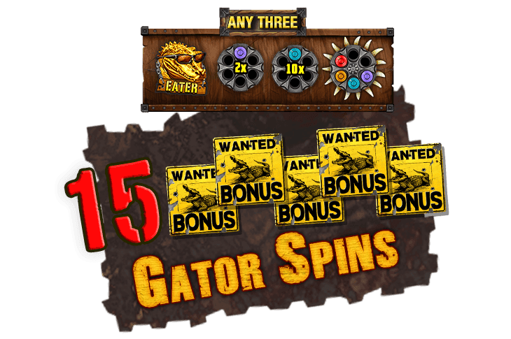 Gator Spins image