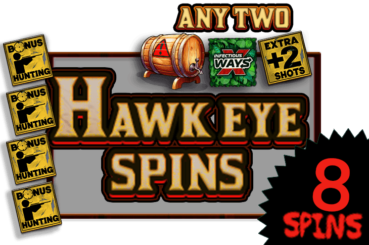 Hawk Eye Spins image