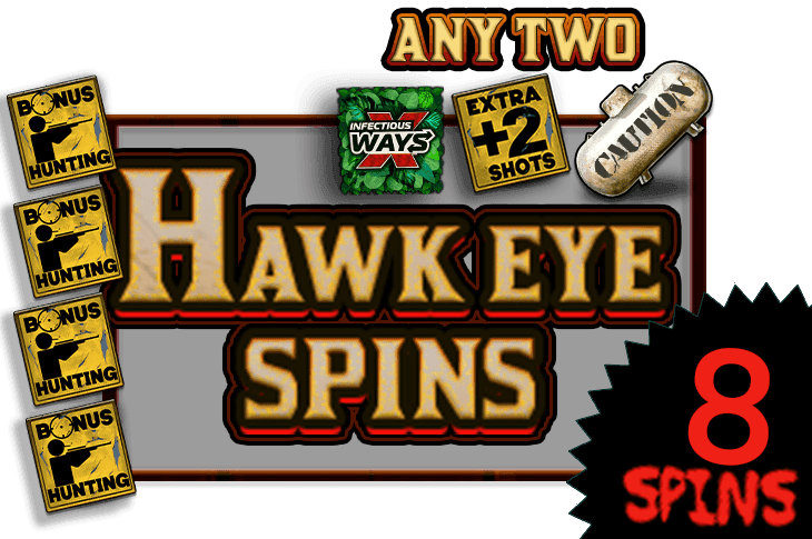Hawk Eye Spins image