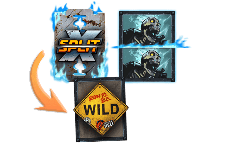 xSplit® image