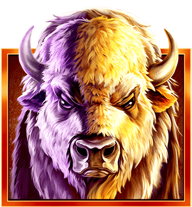 Buffalo Collection image