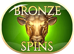 Bronze Spins (Elevate Feature) image