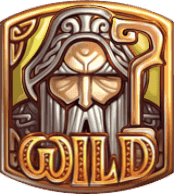 Wild Substitution image