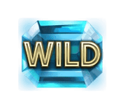 Wild Substitution image