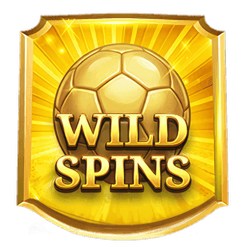 Wild Spins image