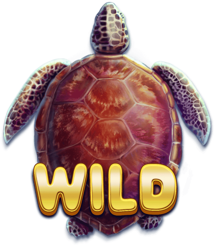 Turtle Wilds image