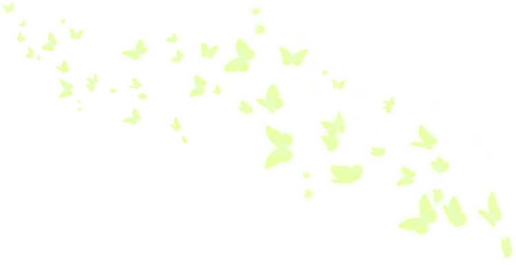 Butterfly Boost image